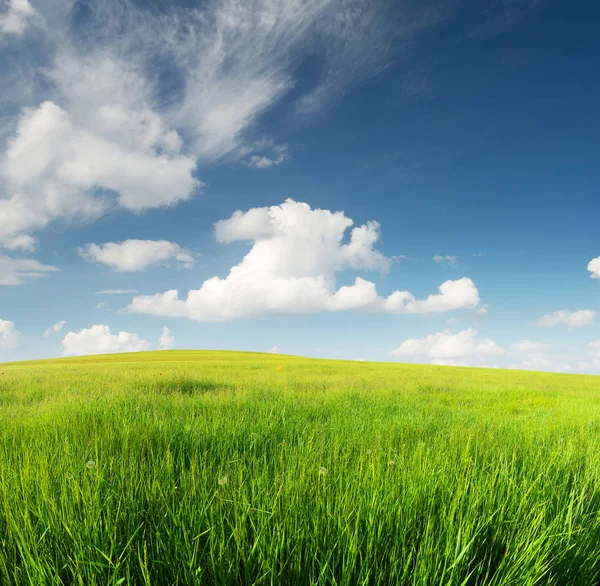 Green field in mountain valley — Stock Photo, Image