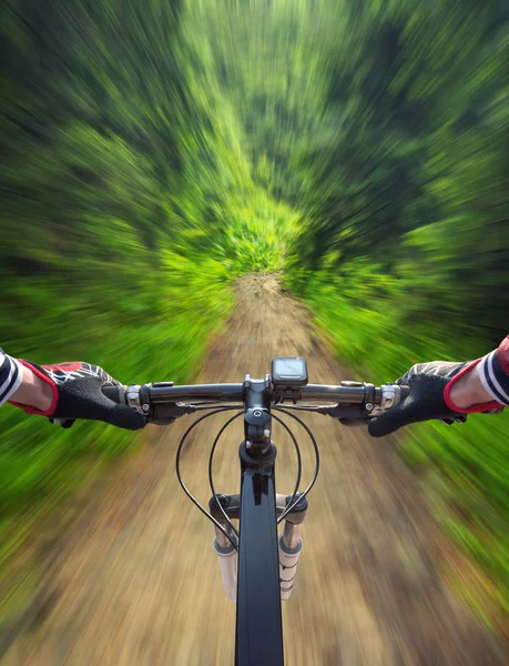 Fast ride in summer forest — Stock Photo, Image
