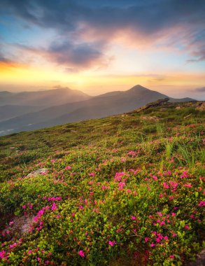 Çiçek Dağı sahada
