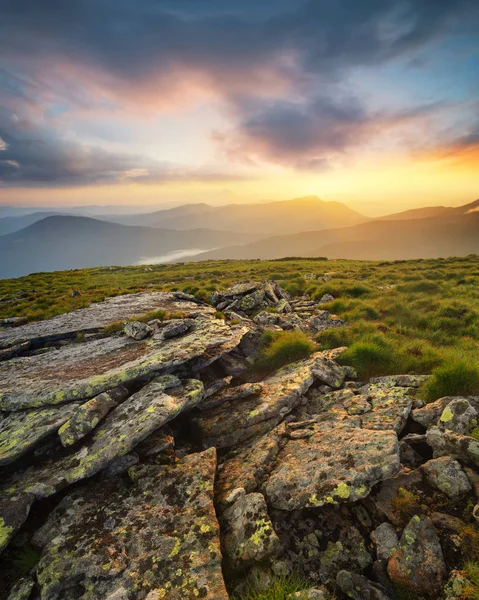 Rochers sur le champ de montagne — Photo