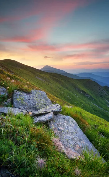 Mountain field during sunset — Stock Photo, Image