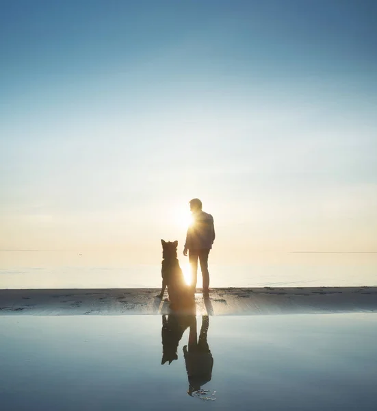 Pria dengan teman anjing di pantai . — Stok Foto