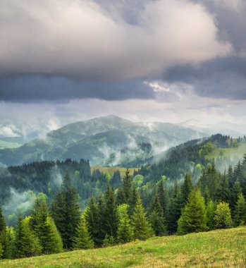 manzara güzel bahar