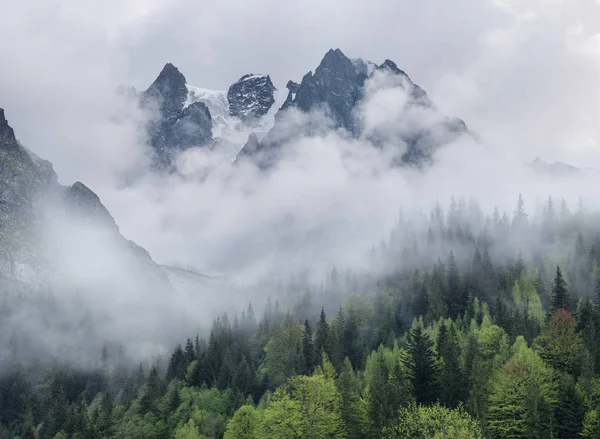 High rocks and forest in the mist — Stock Photo, Image