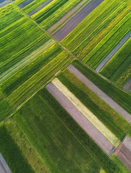 Vista del campo desde el aire — Foto de Stock