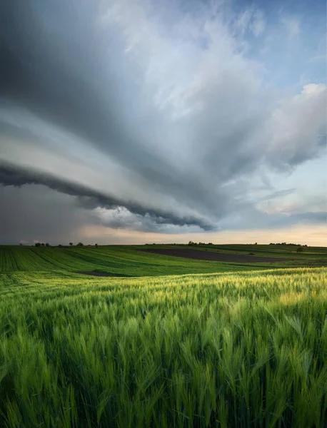 Cyklon na piękny zielony pole — Zdjęcie stockowe
