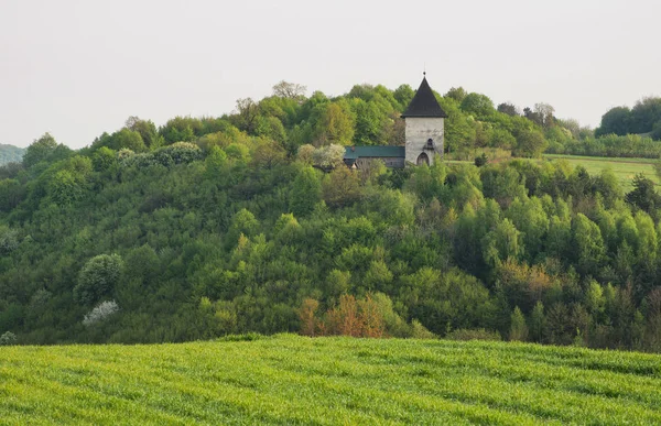 Oude toren van het kasteel in bos — Stockfoto