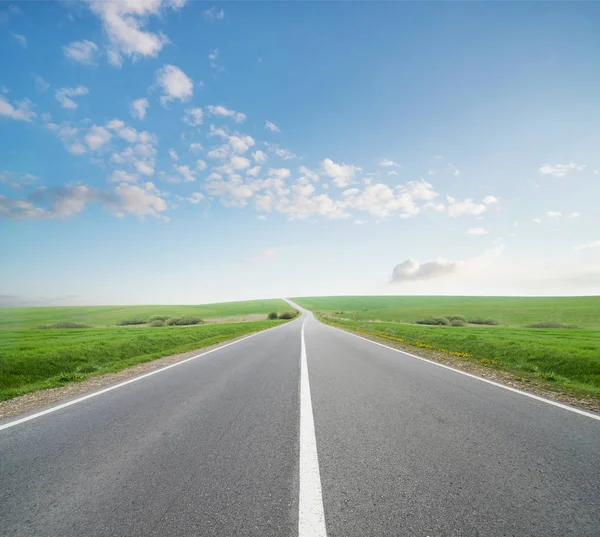 Carretera solitaria camino en campo verde — Foto de Stock