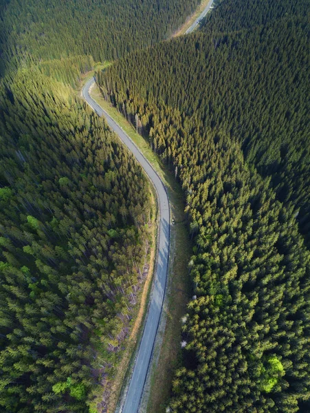 森の中の道路の空中風景 — ストック写真