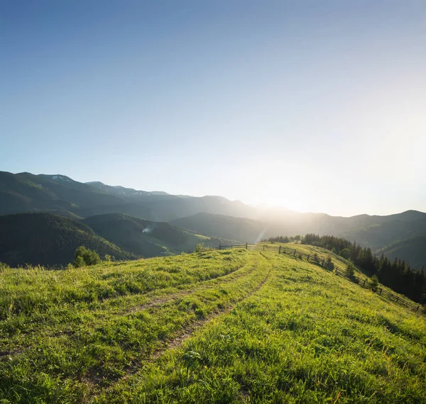 Vägen på berg kulle i sommartid — Stockfoto