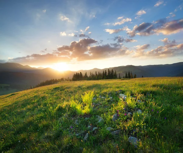 Pôr do sol no vale da montanha — Fotografia de Stock