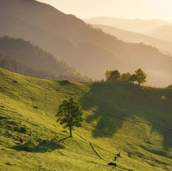 Apus de soare în valea muntelui — Fotografie, imagine de stoc