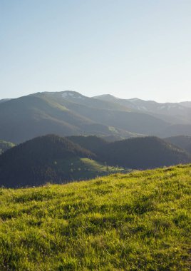 Yaz aylarında dağ mera