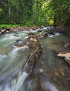 Ormandaki güzel nehir