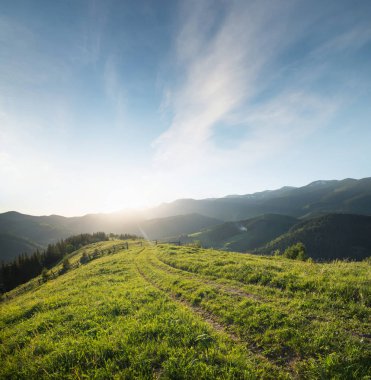 Ukrayna dağ manzarası