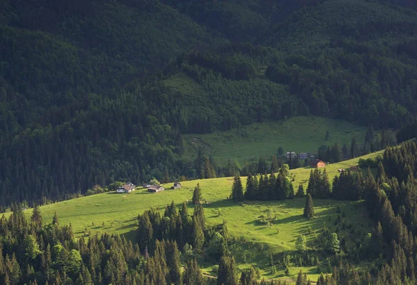 Ukrajna hegyi táj — Stock Fotó