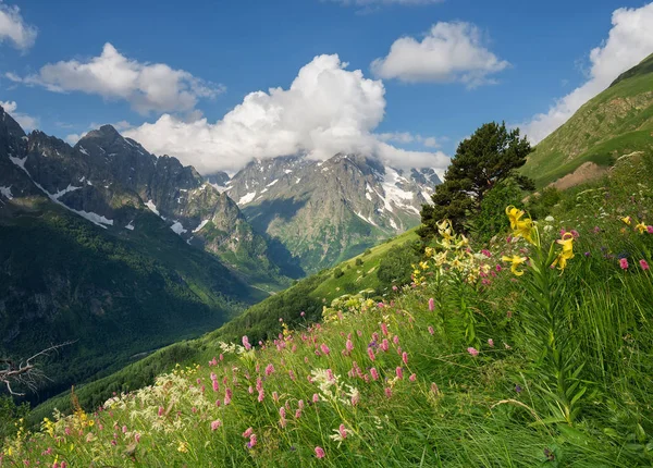 Rusland berglandschap — Stockfoto