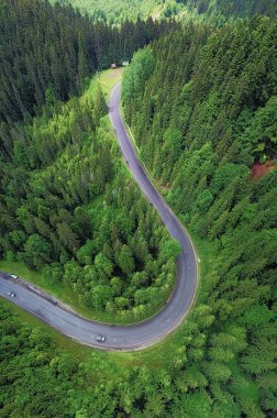 Orman arka plan olarak. Hava doğal kökenli