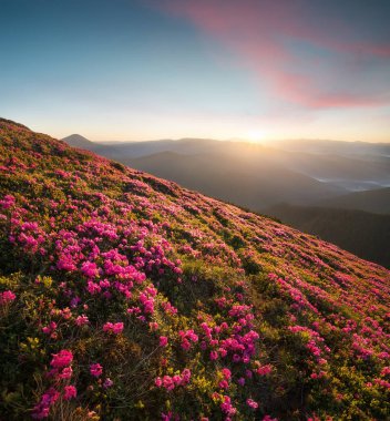 Flowes gündoğumu sırasında dağlarda. Yaz aylarında güzel doğal peyzaj