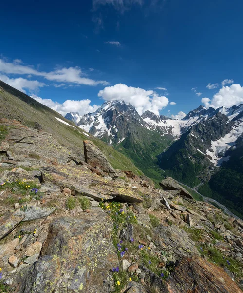 Crête Des Montagnes Été Beau Paysage Naturel — Photo