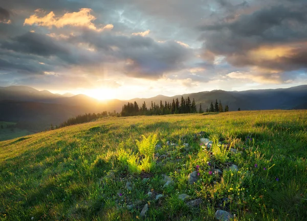 山の谷の夕日 夏の時間の美しい自然の風景 — ストック写真