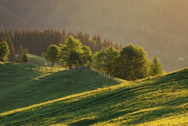 Bergdal Tijdens Zonsondergang Mooie Naural Landschap Zomer — Stockfoto