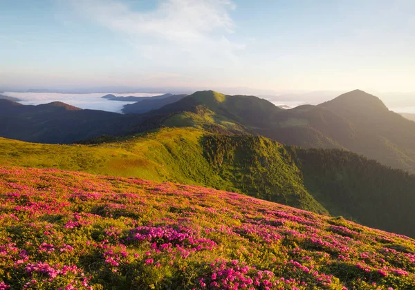 Fluye Las Montañas Durante Amanecer Hermoso Paisaje Natural Tiempo Verano — Foto de Stock