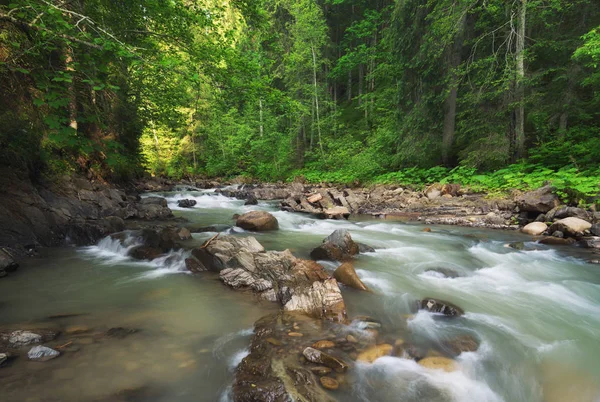 Río Bosque Hermoso Paisaje Natural Tiempo Verano —  Fotos de Stock