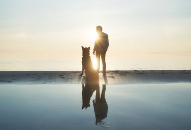 Köpek arkadaş sahilde erkeklerle. Kavram ve fikir