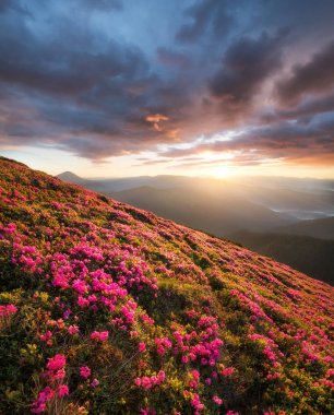Flowes gündoğumu sırasında dağlarda. Yaz aylarında güzel doğal peyzaj