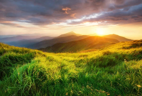 Dolina Góra Podczas Sunrise Dwudziestoletnia Naturalnych Landsscape Okresie Letnim — Zdjęcie stockowe