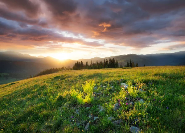 Solnedgång Bergsdalen Vackert Naturlandskap Sommaren — Stockfoto