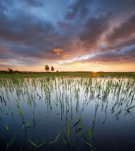 Sonnenuntergang See Sommer Wunderschöne Naturlandschaft — Stockfoto