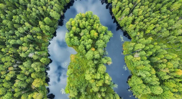 Vue Aérienne Sur Forêt Rivière Beau Paysage Naturel Heure Été — Photo