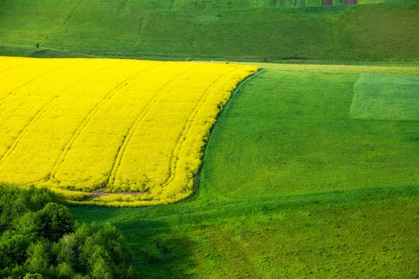 Filas Campo Paisaje Aéreo Natural Sobre Tema Agrícola — Foto de Stock