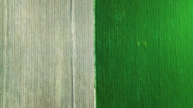 Yeşil alanlar arka plan. Tarım manzara--dan soluduğumuz hava