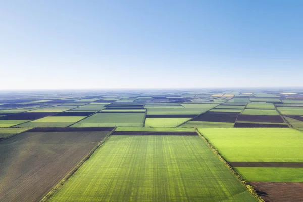 Groene Velden Onder Blauwe Lucht Agrarische Landschap Uit Lucht — Stockfoto