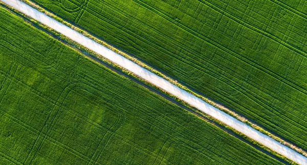 Droga Zielonym Polu Krajobrazu Rolniczego Powietrza — Zdjęcie stockowe