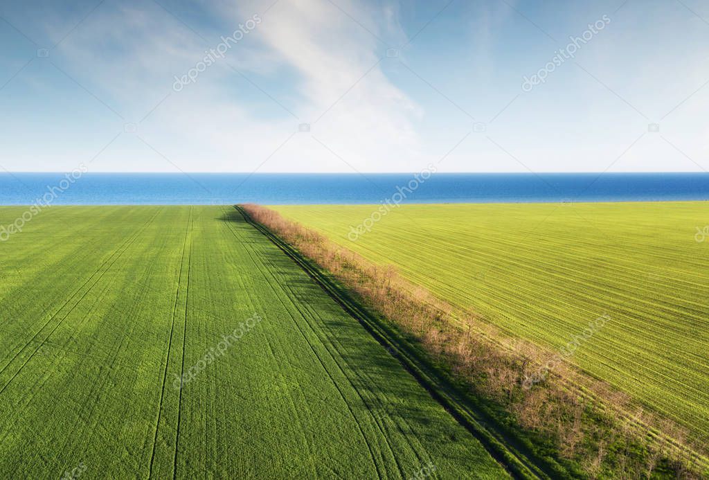 green fields and blue sea background. Agricultural landscape from air