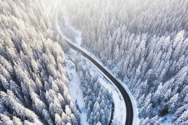 Vue Aérienne Sur Route Forêt Hiver Paysage Hivernal Naturel Air — Photo