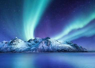 Aurora Borealis, Lofoten adaları, Norveç. Kuzeyin ışıkları, dağlar ve suyun yansıması. Kutup ışıkları altındaki kış manzarası. Norveç yolculuğu - görüntü