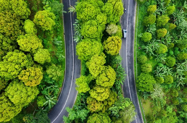 Vista Aérea Carretera Bosque Autopista Atraviesa Bosque Vista Desde Dron — Foto de Stock