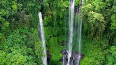 Sekumpul Şelalesi, Bali Adası, Endonezya. Yaz mevsiminde doğal tropikal manzara. Yüksek şelale, orman dağları ve kanyon. Seyahat - Video