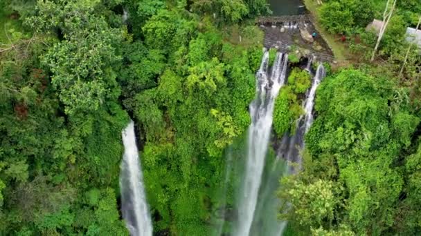 Sekumpul Waterval Bali Eiland Indonesië Natuurlijk Tropisch Landschap Zomer Hoge — Stockvideo