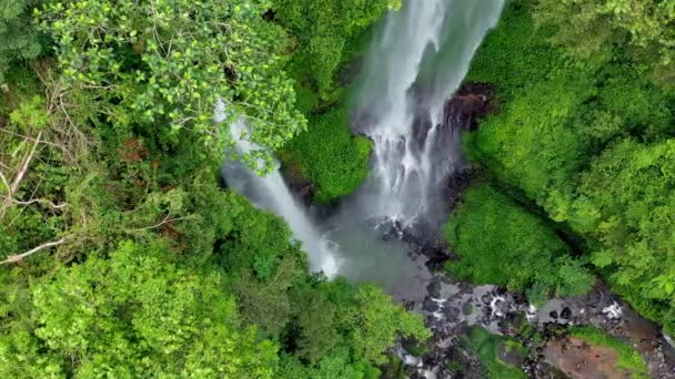 インドネシアのバリ島 セクムプル滝 夏の間の自然の熱帯の風景 高い滝や森林山脈や峡谷 ビデオ — ストック動画