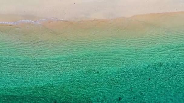 Coast Waves Background Top View Blue Water Background Drone Summer — Stock Video