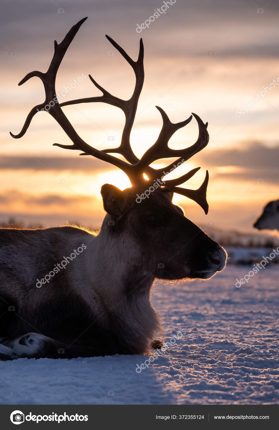 🦒 Giraffe Silhouette - 3D Druckbare Minimalistische Dekoration für  Tierliebhaber・ STL Datei für 3D-Druck・Cults, image size:1104x1700