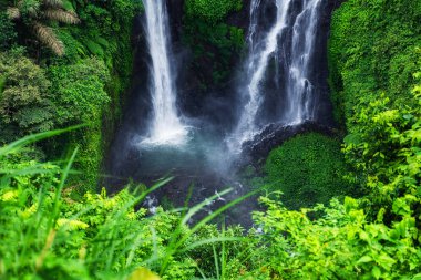 Sekumpul Şelalesi, Bali Adası, Endonezya. Yaz mevsiminde doğal tropikal manzara. Yüksek şelale, orman dağları ve kanyon. Seyahat - resim