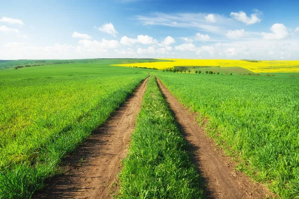 Straße Auf Dem Feld Tagsüber Gras Auf Der Wiese Landwirtschaftliche — Stockfoto