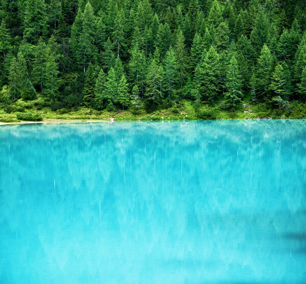 Forest Turquoise Lake Dolomites Apls Italy Lago Sorapis Lake Italy — Stock Photo, Image